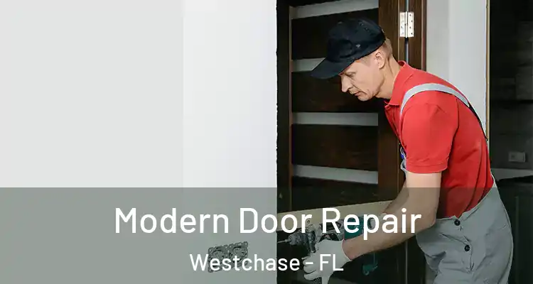 Modern Door Repair Westchase - FL