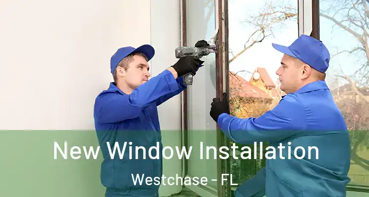 New Window Installation Westchase - FL