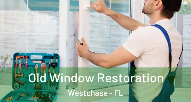 Old Window Restoration Westchase - FL