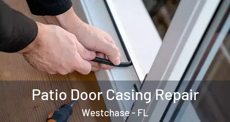 Patio Door Casing Repair Westchase - FL