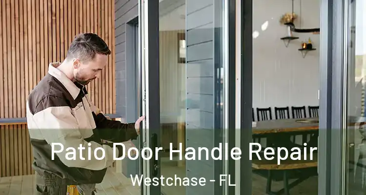 Patio Door Handle Repair Westchase - FL