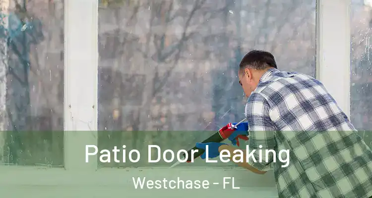 Patio Door Leaking Westchase - FL