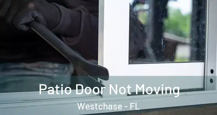Patio Door Not Moving Westchase - FL