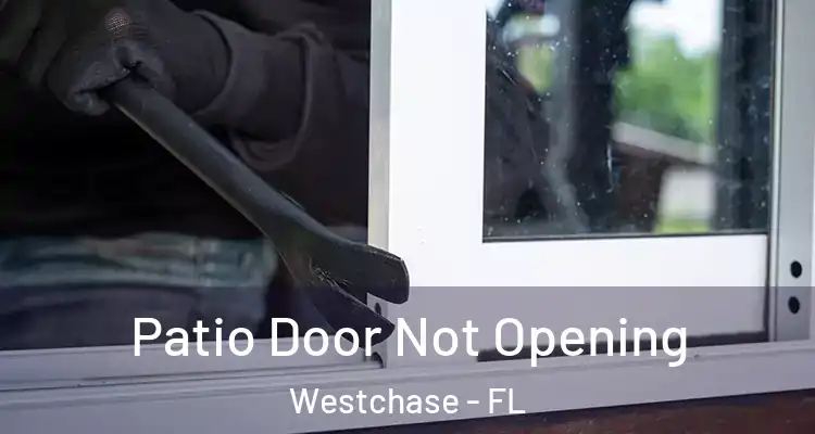 Patio Door Not Opening Westchase - FL