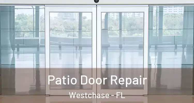 Patio Door Repair Westchase - FL
