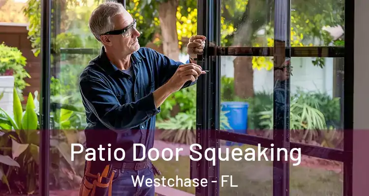 Patio Door Squeaking Westchase - FL