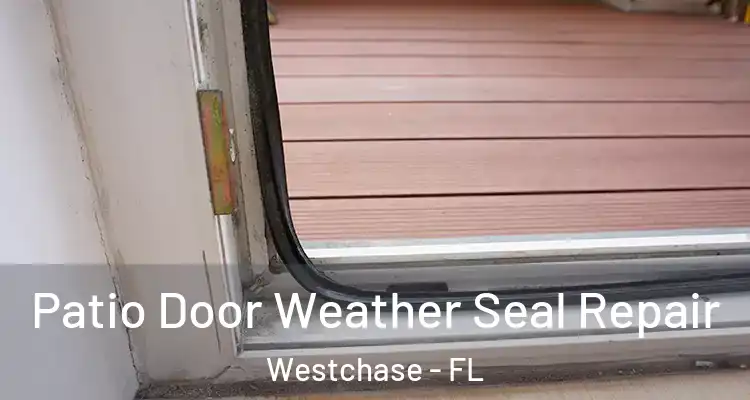 Patio Door Weather Seal Repair Westchase - FL