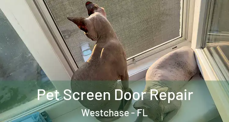 Pet Screen Door Repair Westchase - FL