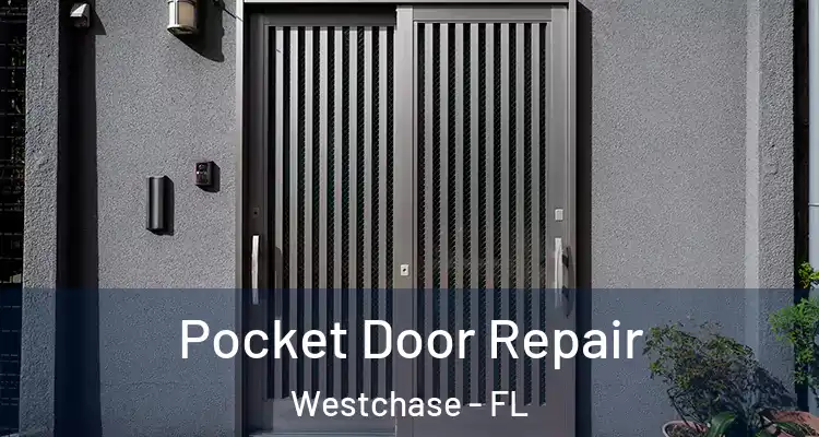 Pocket Door Repair Westchase - FL