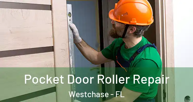 Pocket Door Roller Repair Westchase - FL