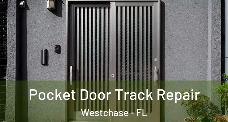Pocket Door Track Repair Westchase - FL