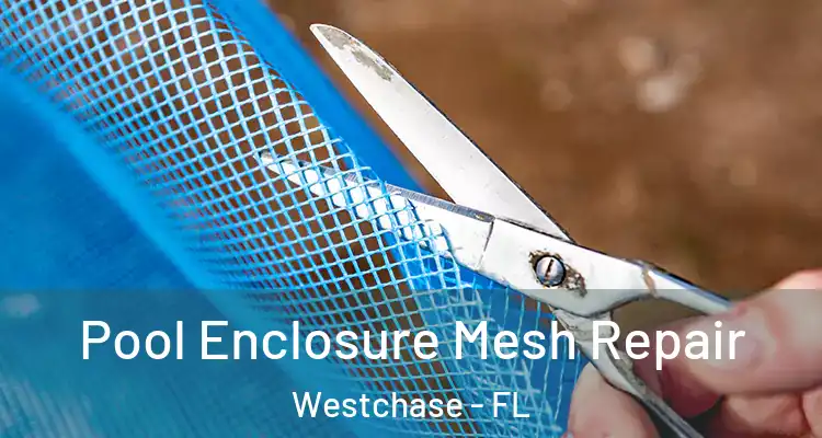 Pool Enclosure Mesh Repair Westchase - FL