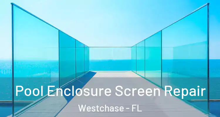 Pool Enclosure Screen Repair Westchase - FL