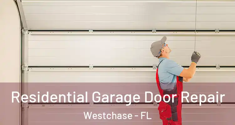 Residential Garage Door Repair Westchase - FL