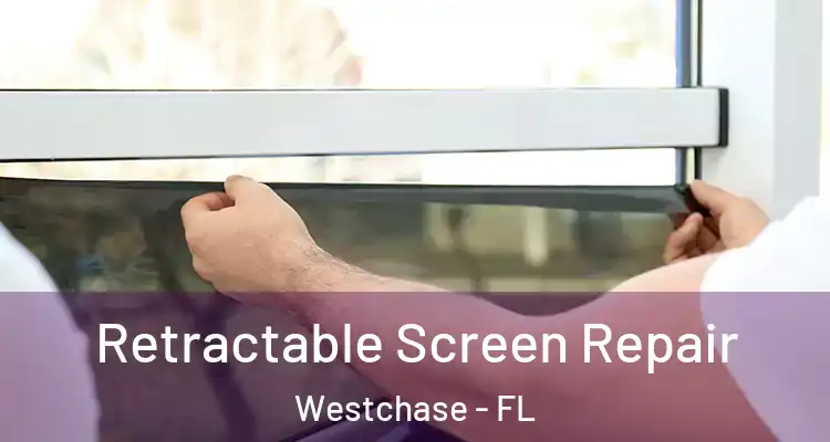 Retractable Screen Repair Westchase - FL
