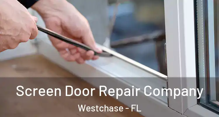 Screen Door Repair Company Westchase - FL