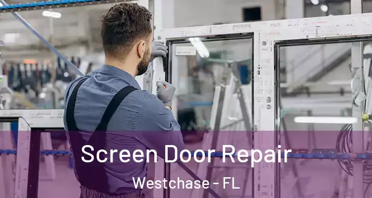 Screen Door Repair Westchase - FL