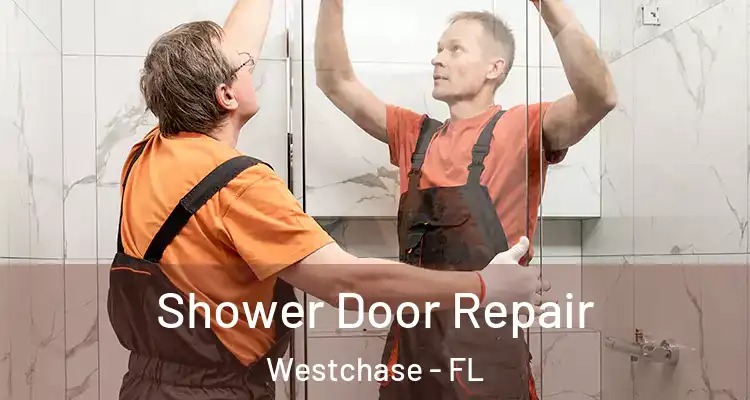 Shower Door Repair Westchase - FL
