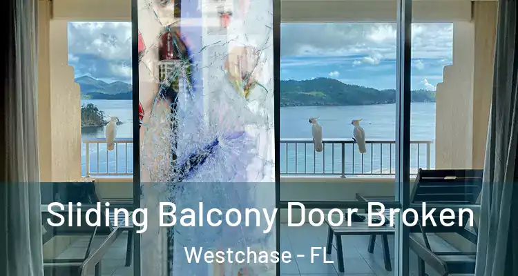 Sliding Balcony Door Broken Westchase - FL