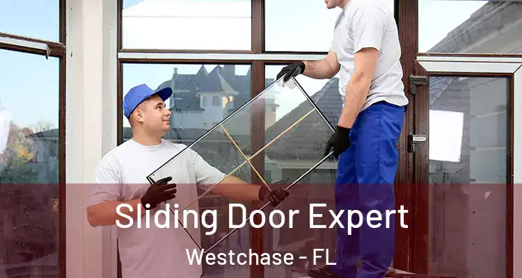 Sliding Door Expert Westchase - FL