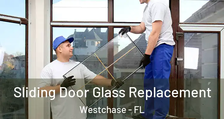 Sliding Door Glass Replacement Westchase - FL