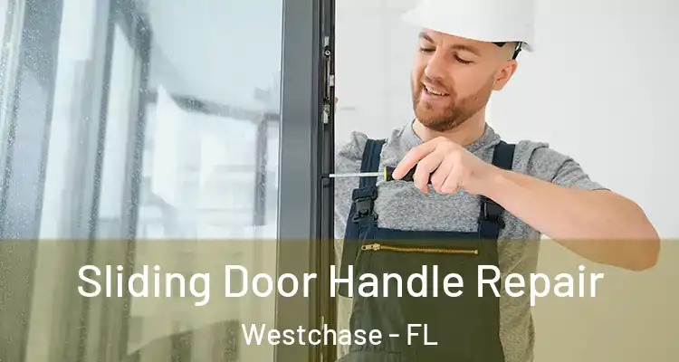 Sliding Door Handle Repair Westchase - FL