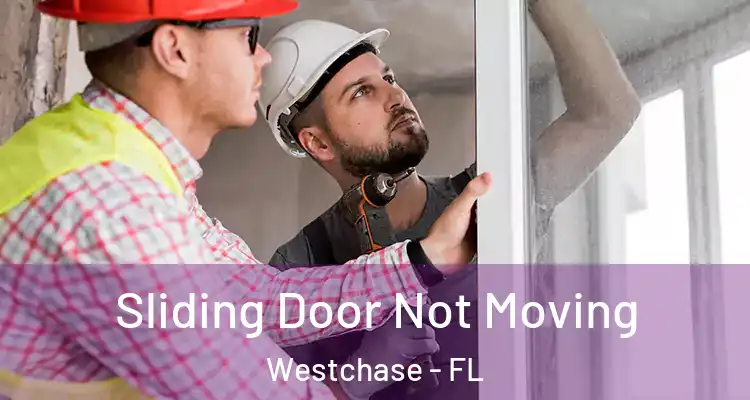 Sliding Door Not Moving Westchase - FL
