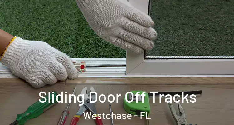 Sliding Door Off Tracks Westchase - FL