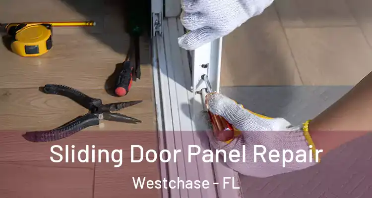 Sliding Door Panel Repair Westchase - FL