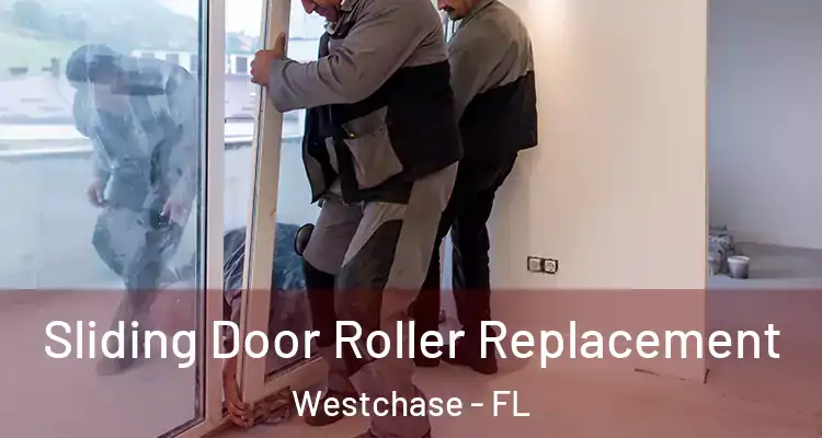 Sliding Door Roller Replacement Westchase - FL