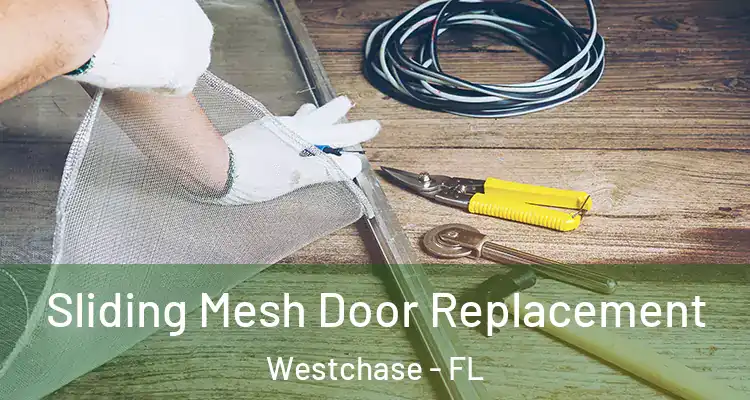 Sliding Mesh Door Replacement Westchase - FL