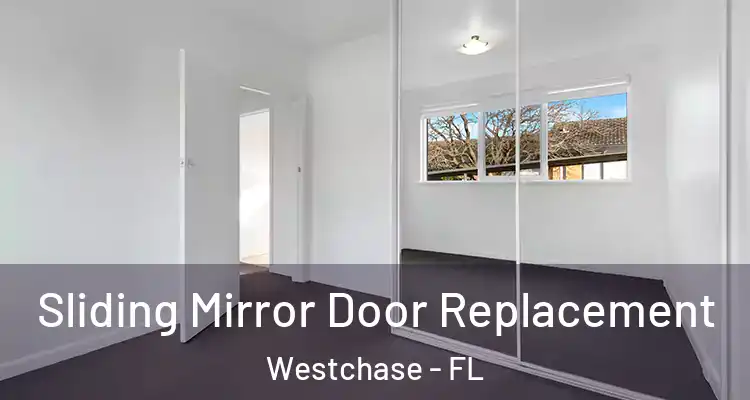 Sliding Mirror Door Replacement Westchase - FL