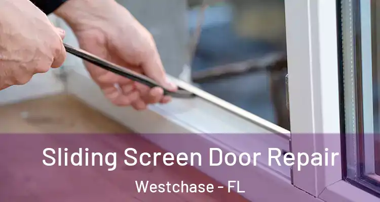 Sliding Screen Door Repair Westchase - FL