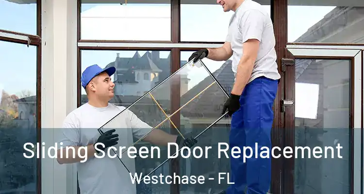 Sliding Screen Door Replacement Westchase - FL