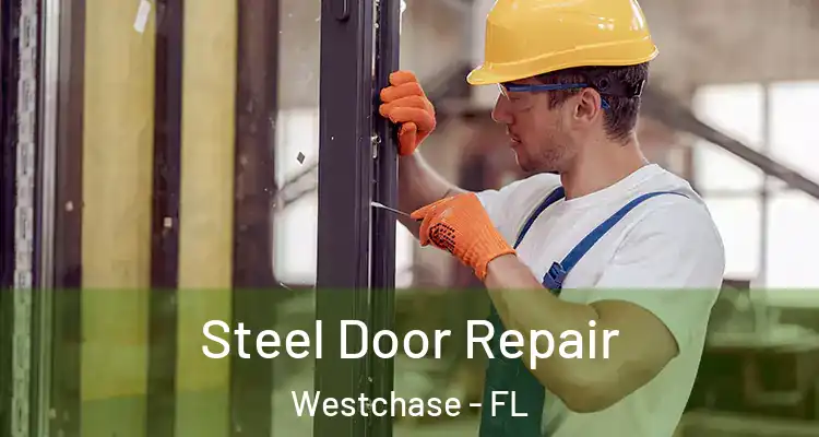 Steel Door Repair Westchase - FL