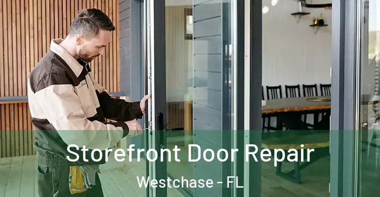 Storefront Door Repair Westchase - FL
