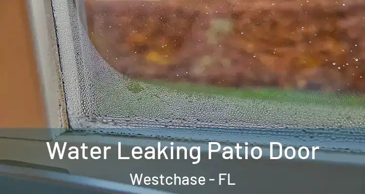 Water Leaking Patio Door Westchase - FL