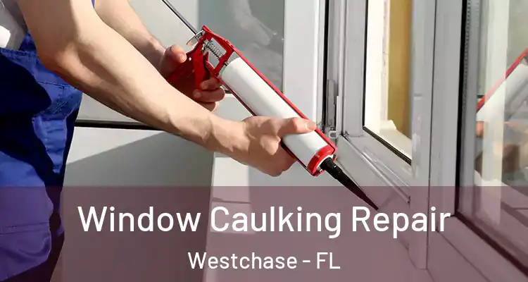 Window Caulking Repair Westchase - FL