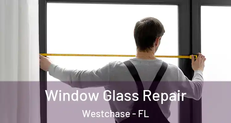 Window Glass Repair Westchase - FL