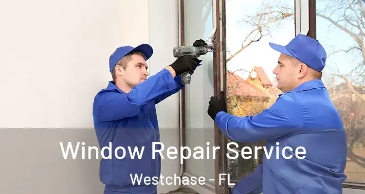 Window Repair Service Westchase - FL
