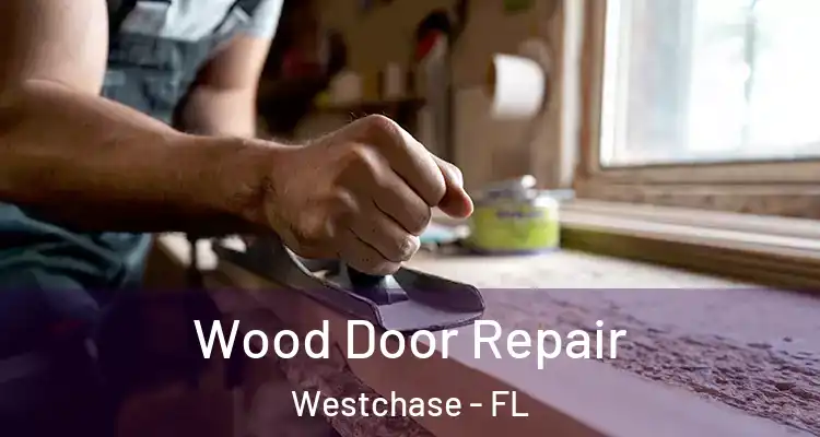 Wood Door Repair Westchase - FL
